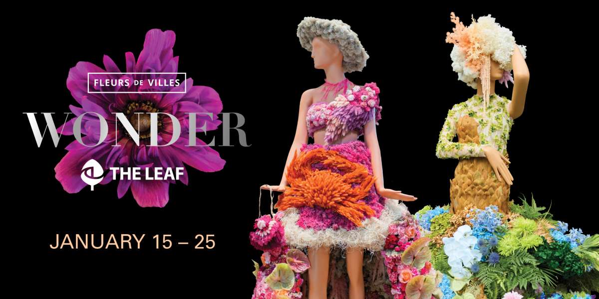 Colour Story Link - Fleurs de Villes WONDER