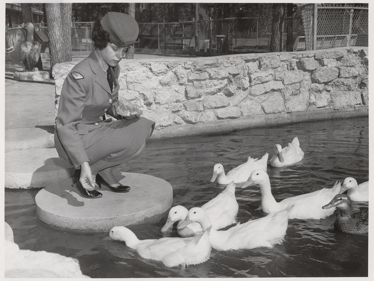 A black and white photo from 1968 shows a woman feeding ducks at Aunt Sally's Farm at the Zoo