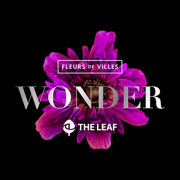 Fleurs de Villes WONDER