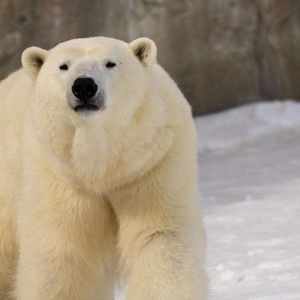 Winter Break at The Park