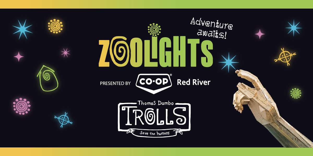 Colour Story Link - Zoo Lights